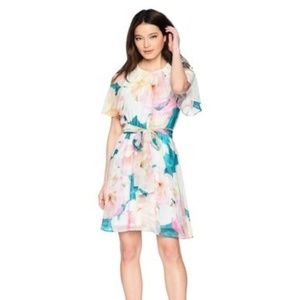 Calvin-Klein-Women-Petite-Printed-Chiffon-Dress